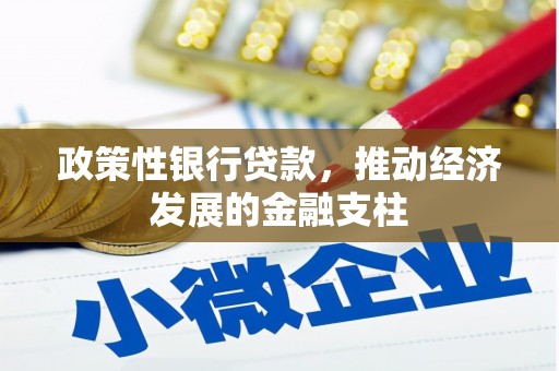 武进政策性银行贷款，推动经济发展的金融支柱