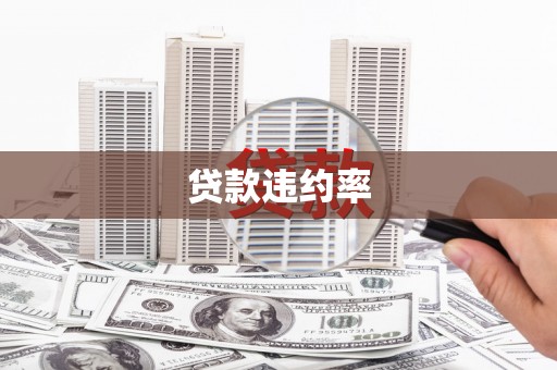 武进贷款违约率