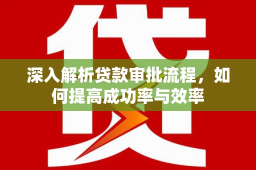 武进深入解析贷款审批流程，如何提高成功率与效率