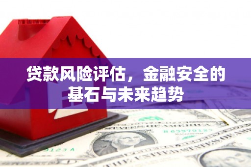 武进贷款风险评估，金融安全的基石与未来趋势