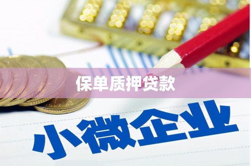 武进保单质押贷款