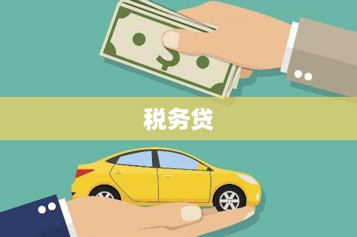 武进税务贷