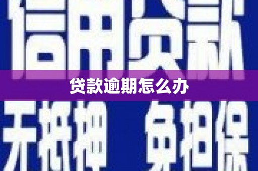 武进贷款逾期怎么办