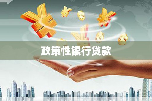 武进政策性银行贷款