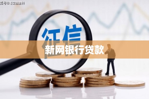 武进新网银行贷款