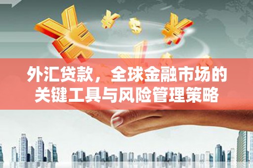 武进外汇贷款，全球金融市场的关键工具与风险管理策略