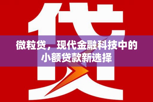 武进微粒贷，现代金融科技中的小额贷款新选择