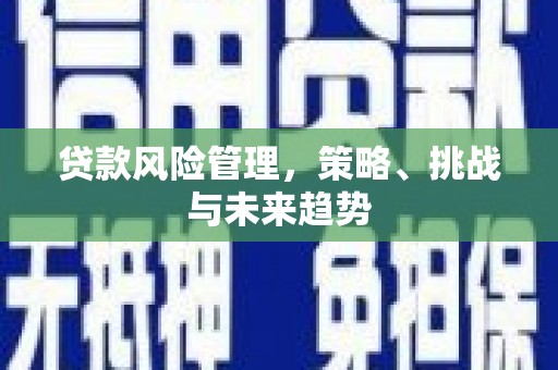武进贷款风险管理，策略、挑战与未来趋势