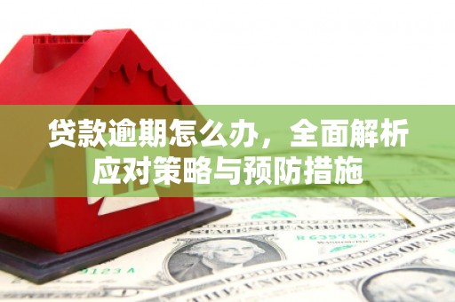 武进贷款逾期怎么办，全面解析应对策略与预防措施