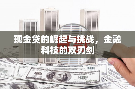 武进现金贷的崛起与挑战，金融科技的双刃剑