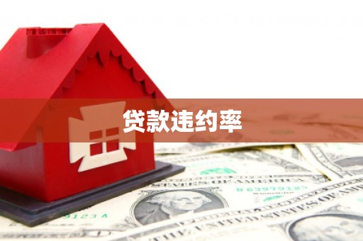 武进贷款违约率