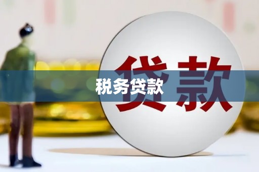 武进税务贷款