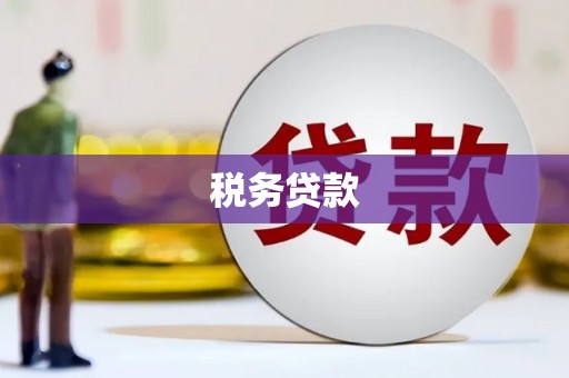 武进税务贷款
