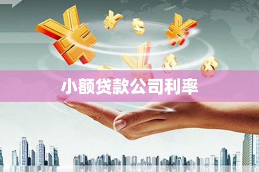 武进小额贷款公司利率
