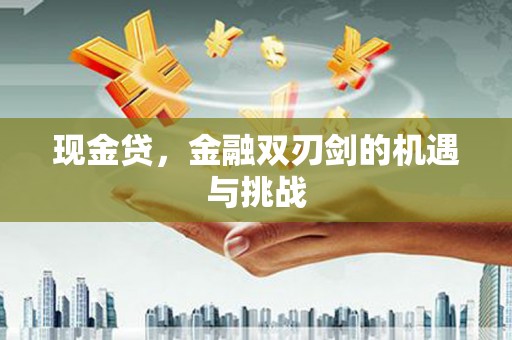 武进现金贷，金融双刃剑的机遇与挑战