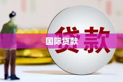 武进国际贷款