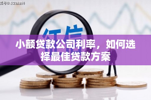 武进小额贷款公司利率，如何选择最佳贷款方案