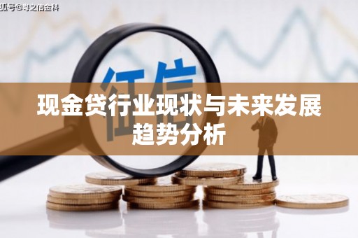 武进现金贷行业现状与未来发展趋势分析