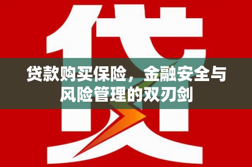 武进贷款购买保险，金融安全与风险管理的双刃剑