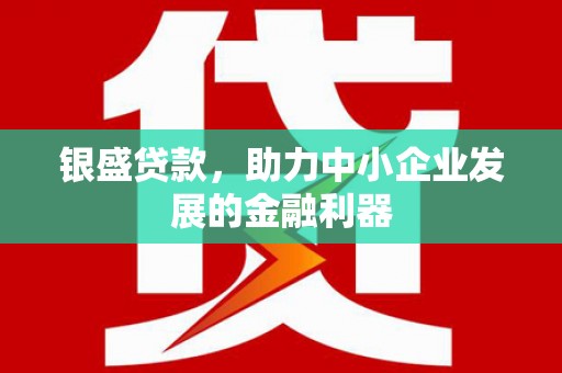 武进银盛贷款，助力中小企业发展的金融利器
