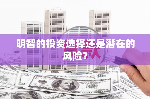 武进明智的投资选择还是潜在的风险？