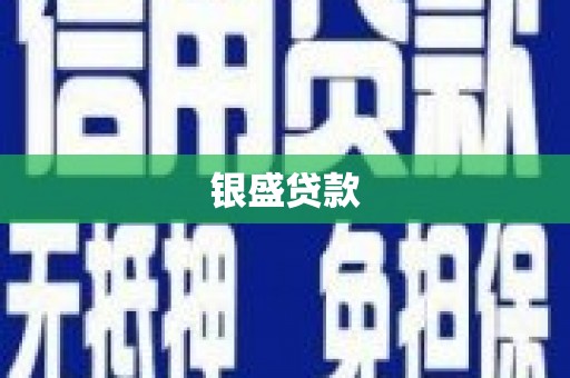 武进银盛贷款