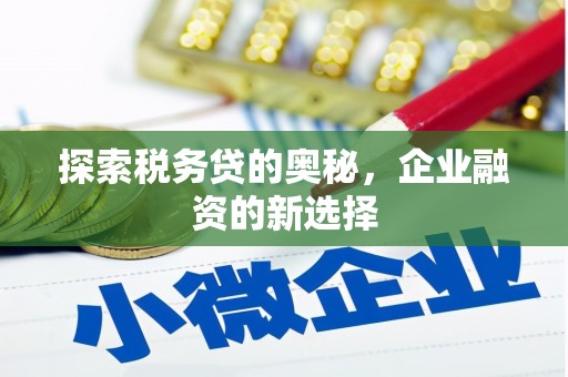 武进探索税务贷的奥秘，企业融资的新选择