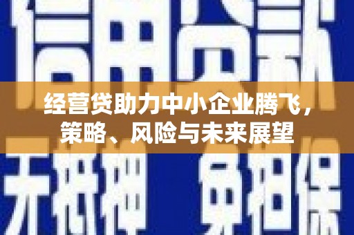 武进经营贷助力中小企业腾飞，策略、风险与未来展望