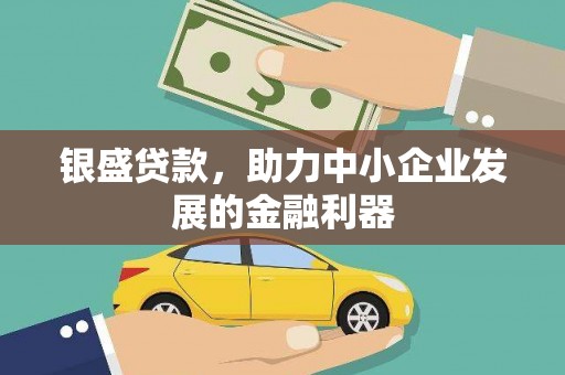 武进银盛贷款，助力中小企业发展的金融利器