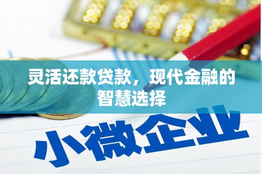 武进灵活还款贷款，现代金融的智慧选择