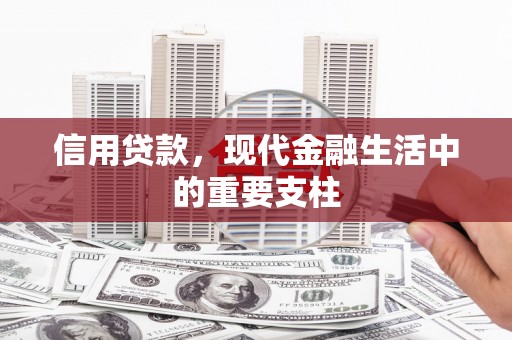 武进信用贷款，现代金融生活中的重要支柱
