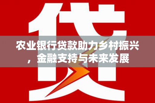 武进农业银行贷款助力乡村振兴，金融支持与未来发展