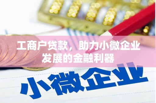 武进工商户贷款，助力小微企业发展的金融利器