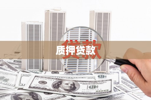 武进质押贷款