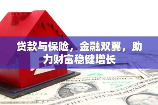 武进贷款与保险，金融双翼，助力财富稳健增长