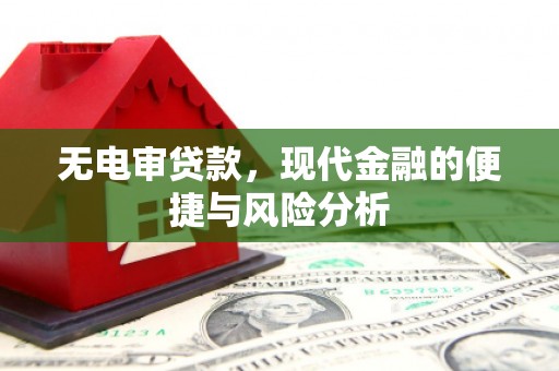 武进无电审贷款，现代金融的便捷与风险分析