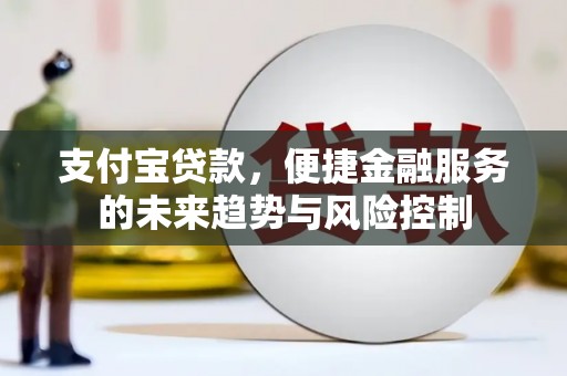 武进支付宝贷款，便捷金融服务的未来趋势与风险控制