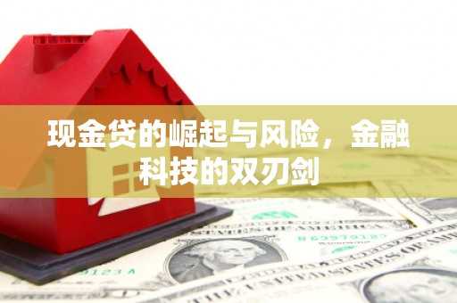 武进现金贷的崛起与风险，金融科技的双刃剑