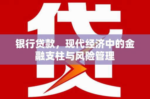 武进银行贷款，现代经济中的金融支柱与风险管理