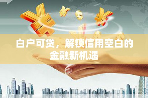 武进白户可贷，解锁信用空白的金融新机遇