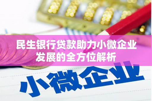 武进民生银行贷款助力小微企业发展的全方位解析