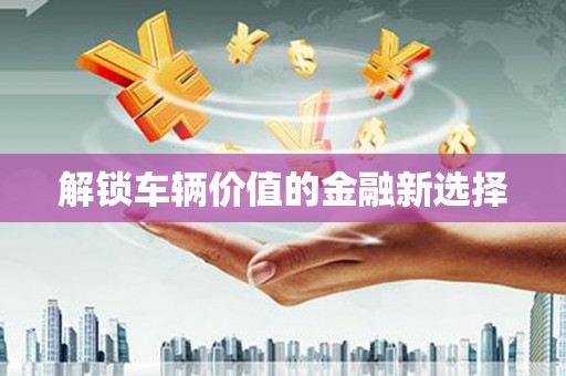 武进解锁车辆价值的金融新选择