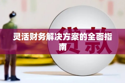 武进灵活财务解决方案的全面指南
