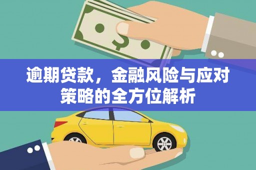 武进逾期贷款，金融风险与应对策略的全方位解析