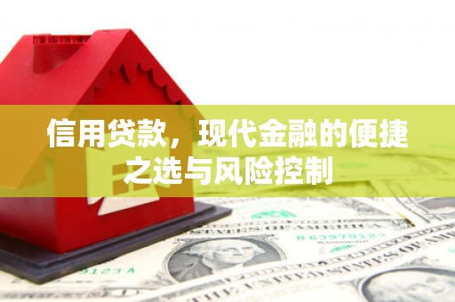 武进信用贷款，现代金融的便捷之选与风险控制