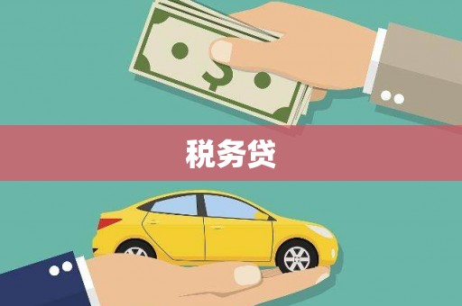 武进税务贷