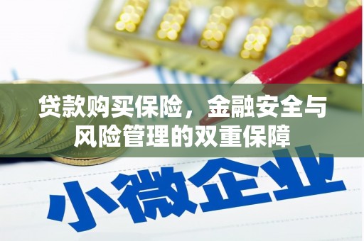 武进贷款购买保险，金融安全与风险管理的双重保障