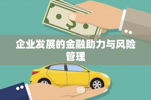 武进企业发展的金融助力与风险管理