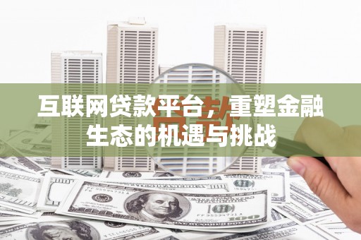 武进互联网贷款平台，重塑金融生态的机遇与挑战