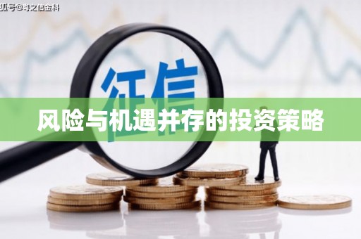 武进风险与机遇并存的投资策略